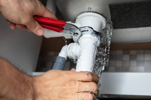 Best Water damage contractors near me  in Lisle, IL