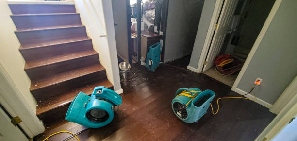Best Local water damage restoration  in Lisle, IL