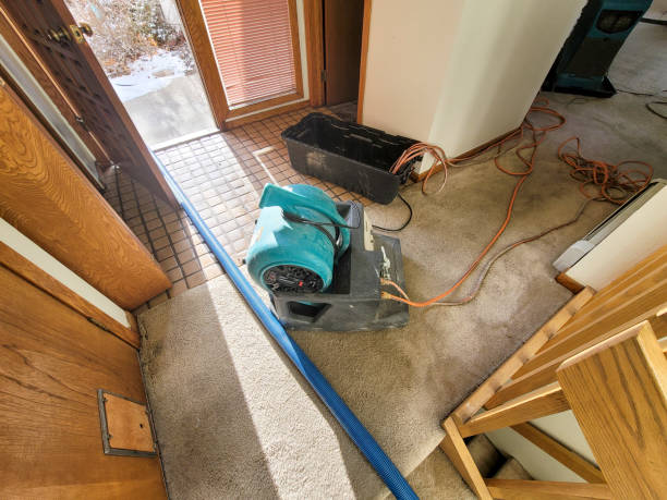 Best Residential water damage restoration  in Lisle, IL