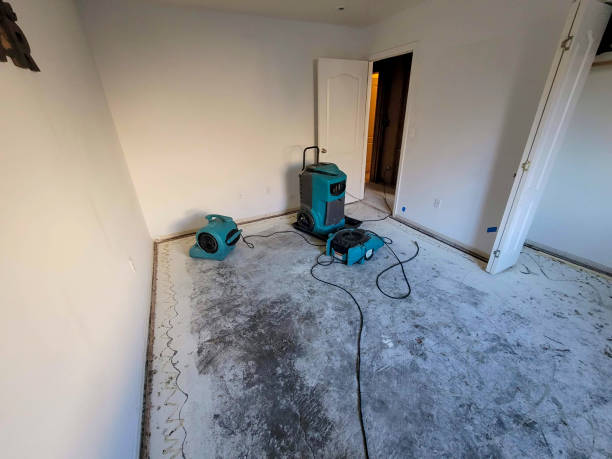 Best Water damage restoration near me  in Lisle, IL