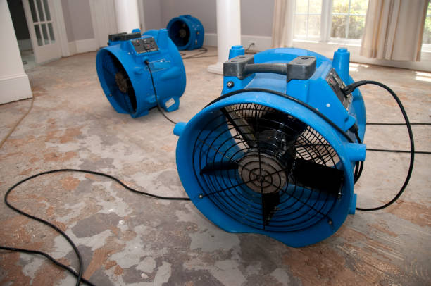 Best 24/7 water damage repair  in Lisle, IL