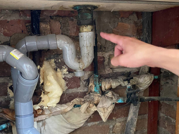 Best Carpet water damage restoration  in Lisle, IL