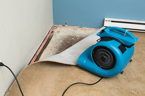 Best Water damage restoration company  in Lisle, IL